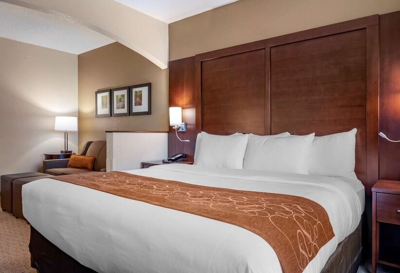 Номер Стандарт Кровать Кинг Адаптированный для Инвалидов, Comfort Suites Near Penn State