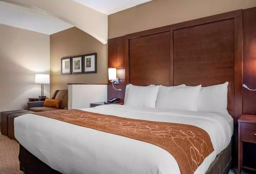 اتاق استاندارد با تخت بزرگ برای معلولان, Comfort Suites Near Penn State
