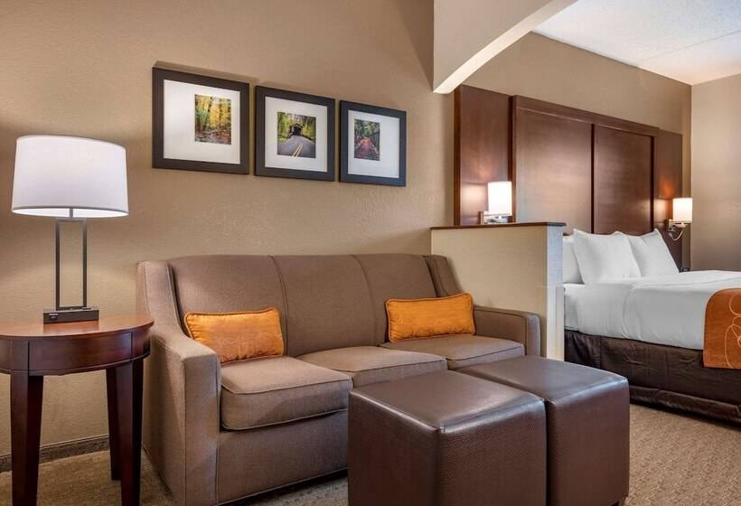 חדר סטנדרט, מיטת קינג, מותאם לאדם עם מוגבלויות, Comfort Suites Near Penn State