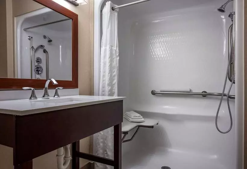 اتاق استاندارد برای معلولان, Comfort Suites Near Penn State