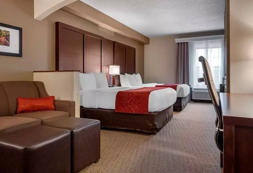 اتاق استاندارد برای معلولان, Comfort Suites Near Penn State