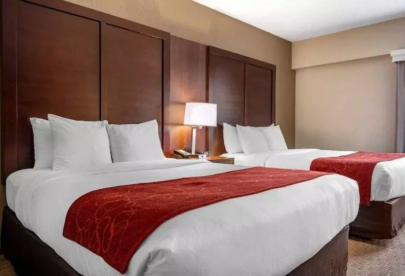 اتاق استاندارد برای معلولان, Comfort Suites Near Penn State
