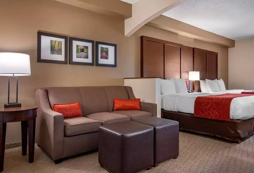 اتاق استاندارد برای معلولان, Comfort Suites Near Penn State