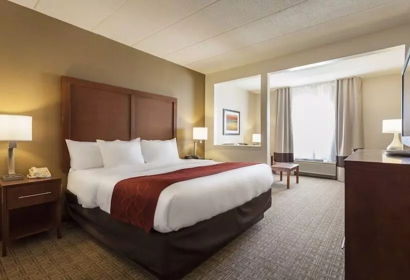 スイート, Comfort Suites