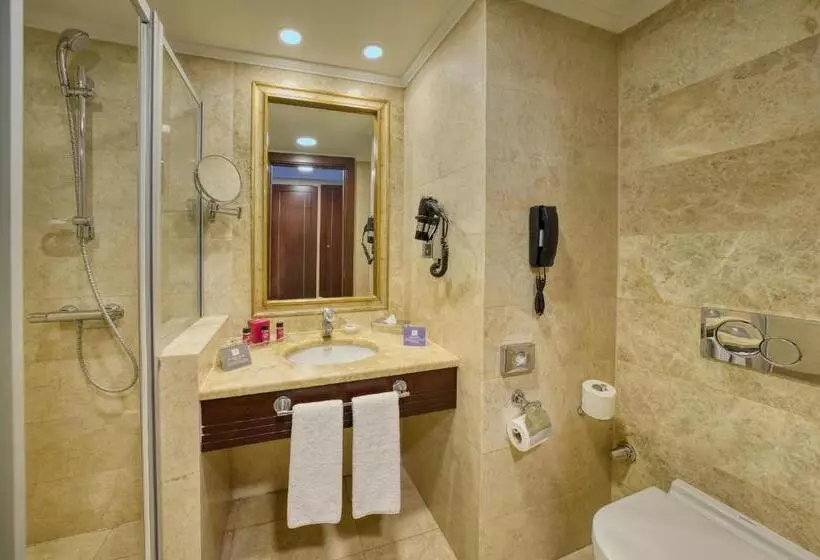 スタンダードルーム, Crowne Plaza Istanbul   Old City, An Ihg