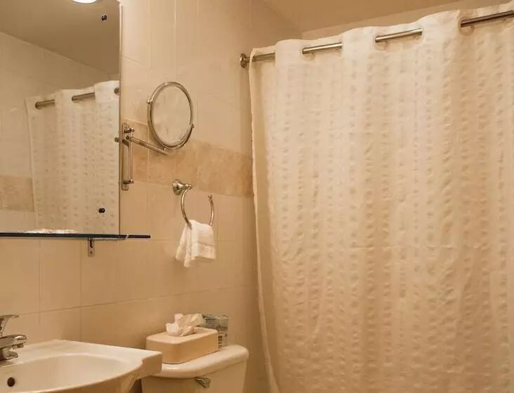 اتاق سوپریور, Econo Lodge Times Square