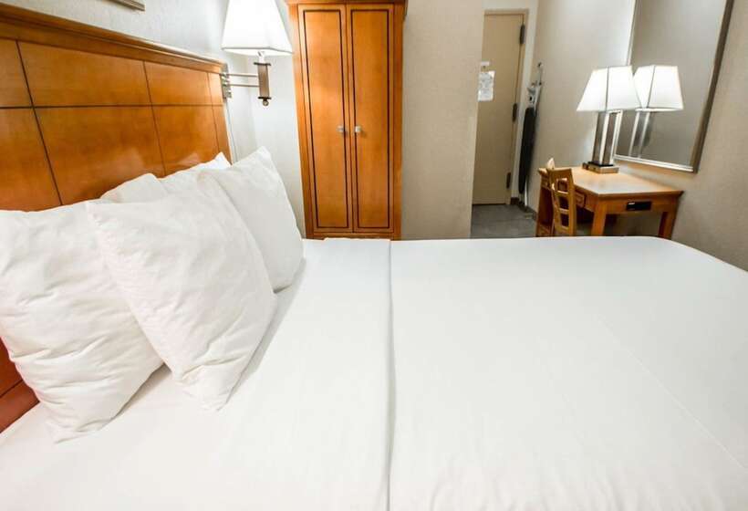 غرفة سوبيريور, Econo Lodge Times Square
