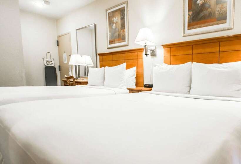 豪华房间, Econo Lodge Times Square
