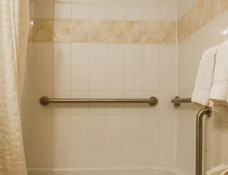 اتاق استاندارد برای معلولان, Econo Lodge Times Square