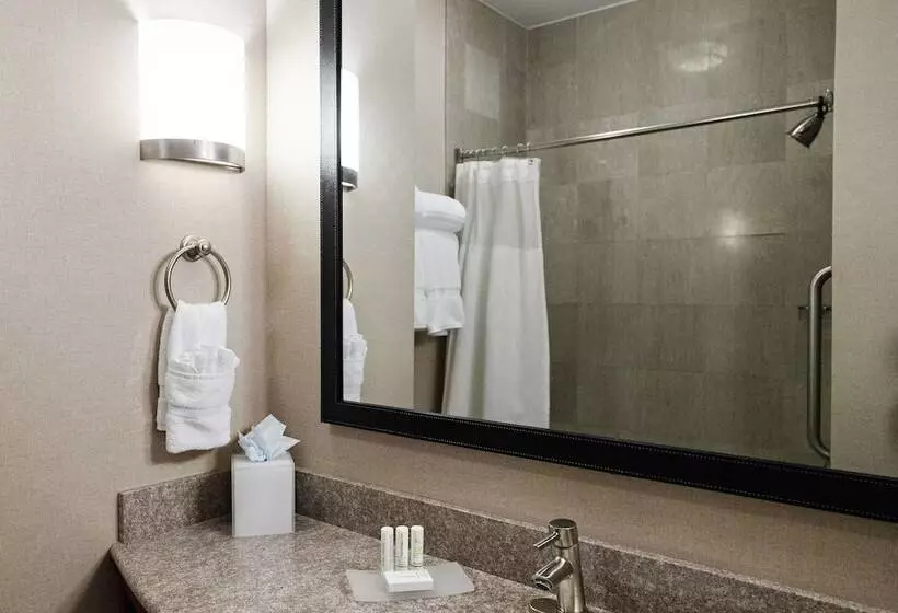 スタンダードスタジオ, Fairfield Inn & Suites By Marriott Somerset