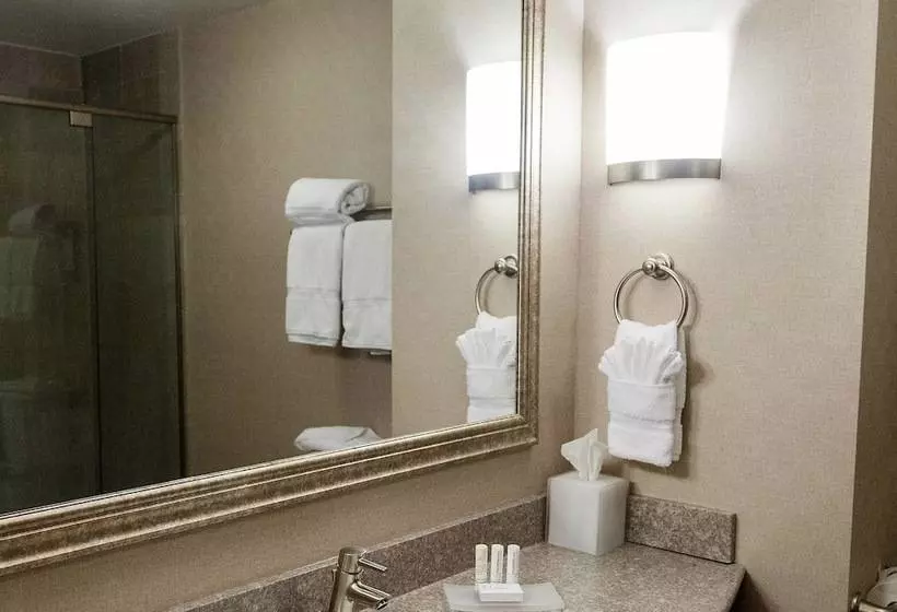 スタンダードスタジオ, Fairfield Inn & Suites By Marriott Somerset