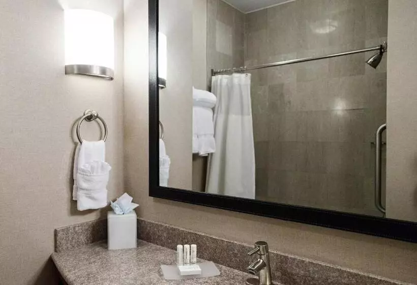 キングサイドベッドのスタンダードワンルーム, Fairfield Inn & Suites By Marriott Somerset