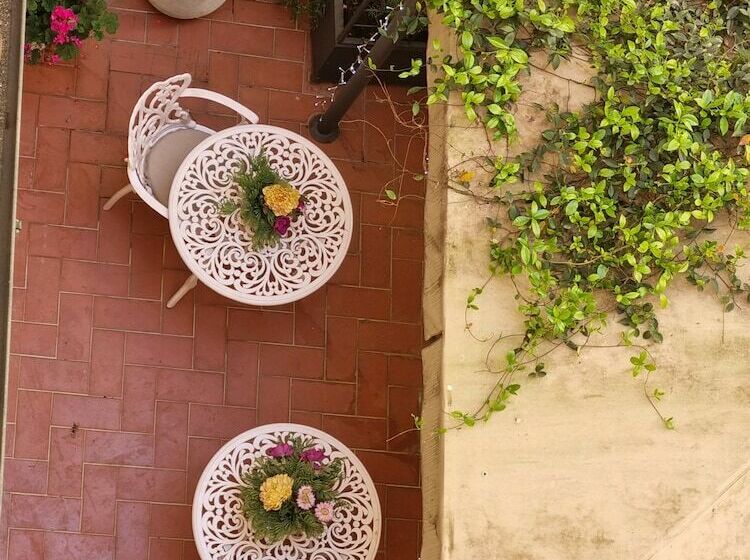 سوییت, Maxim Axial