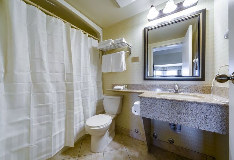 חדר סטנדרט מיטה זוגית, Monte Carlo Inn Barrie   Newly Renovated