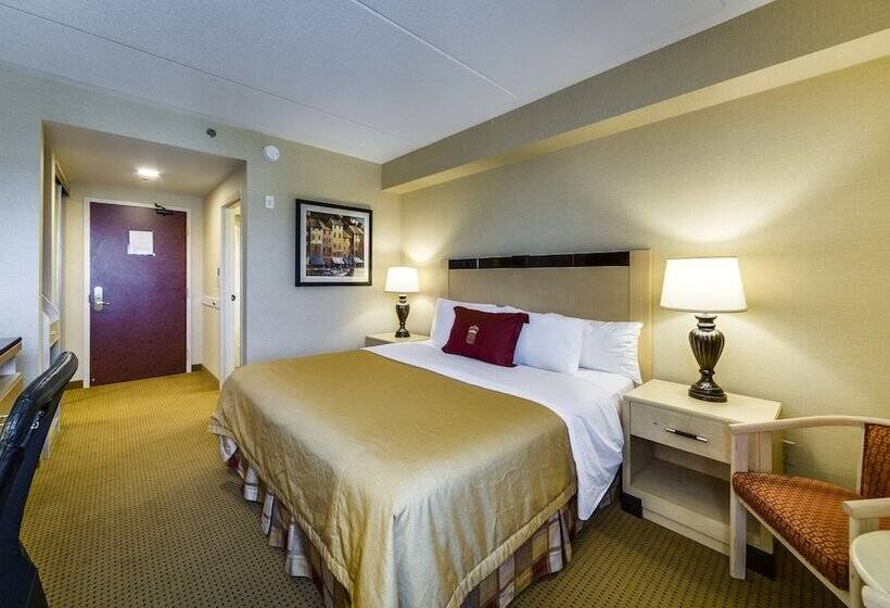 חדר סטנדרט מיטה זוגית, Monte Carlo Inn Barrie   Newly Renovated