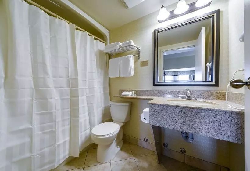 Standard-huone 2 Parivuodetta, Monte Carlo Inn Barrie   Newly Renovated