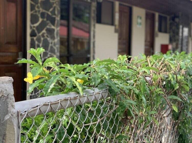 ‫فيلا غرفة نوم واحدة, Nacazcol  Playas Del Coco