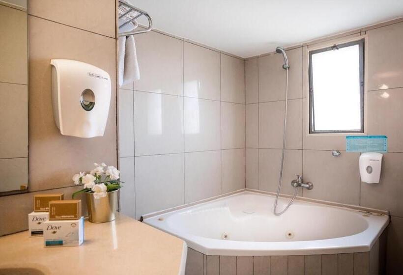 Classic Kamer, Satori