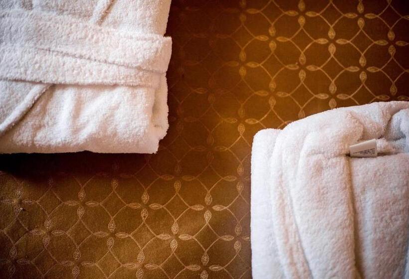 Classic Kamer, Satori