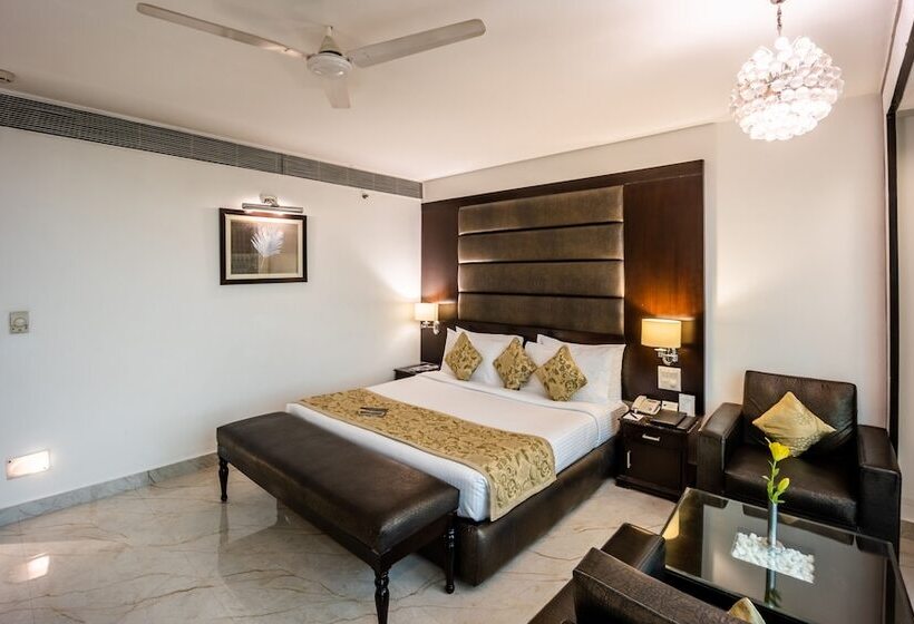 豪华房间, Shanti Palace Mahipalpur