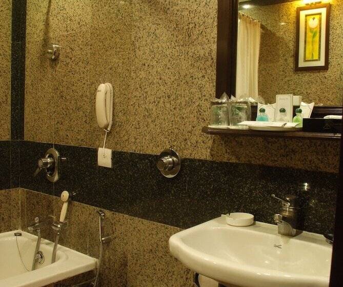 标准间, Shanti Palace Mahipalpur