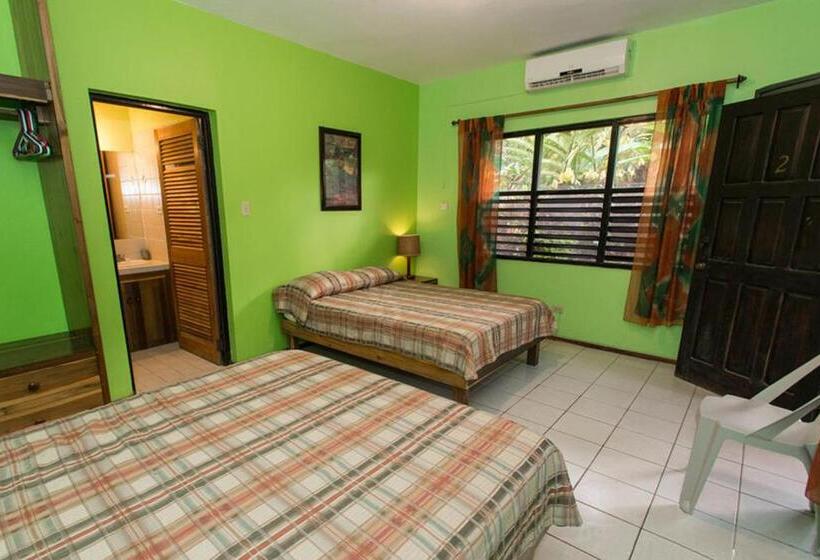 اتاق استاندارد چهار تخته, Sunrise Club