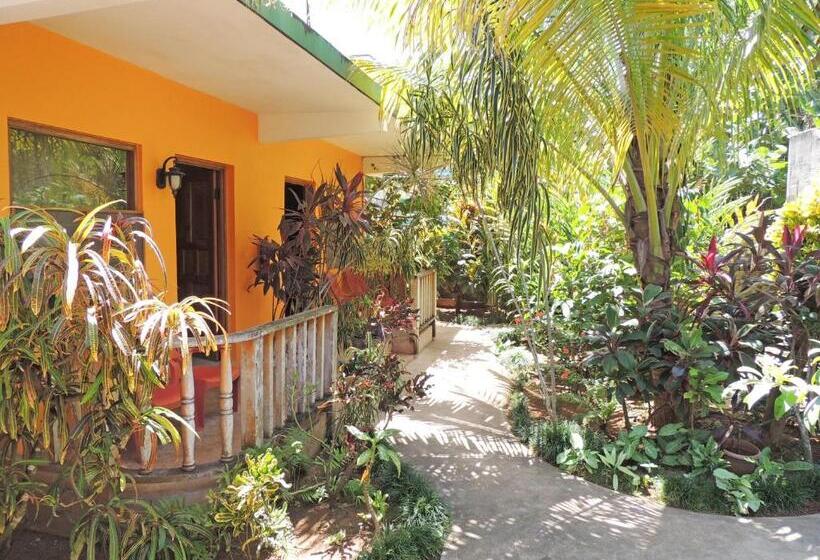 اتاق لوکس, Sunrise Club