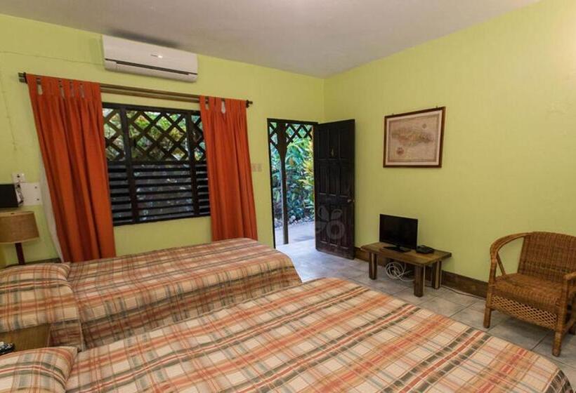 اتاق استاندارد سه نفره, Sunrise Club