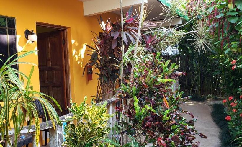 اتاق لوکس, Sunrise Club