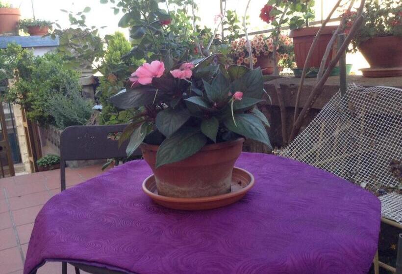 غرفة قياسية, B&b Luce Viola