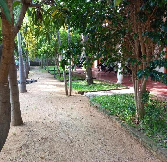 Standardzimmer, Sea Shadow