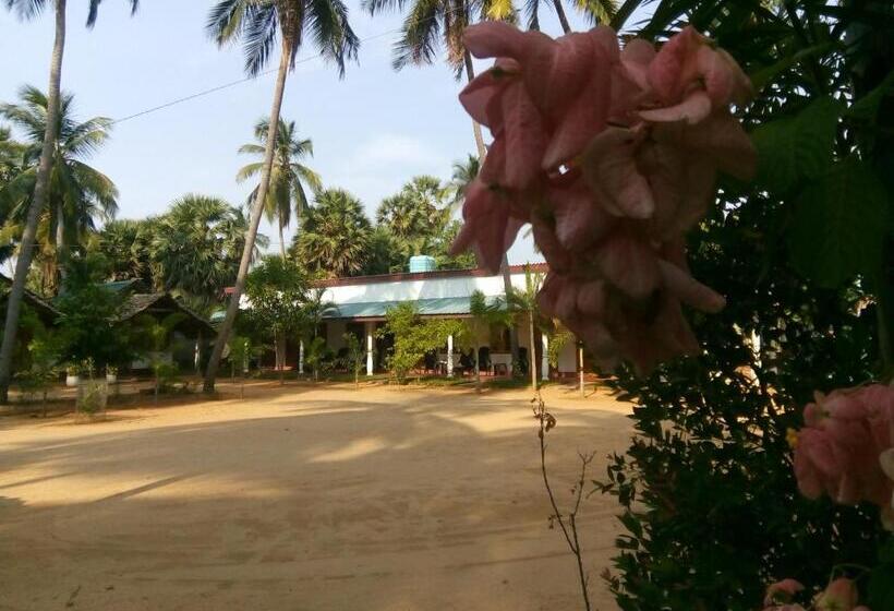 Deluxe Zimmer, Sea Shadow