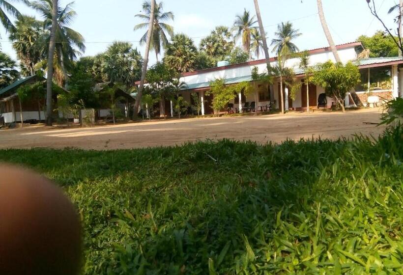 Standardzimmer, Sea Shadow