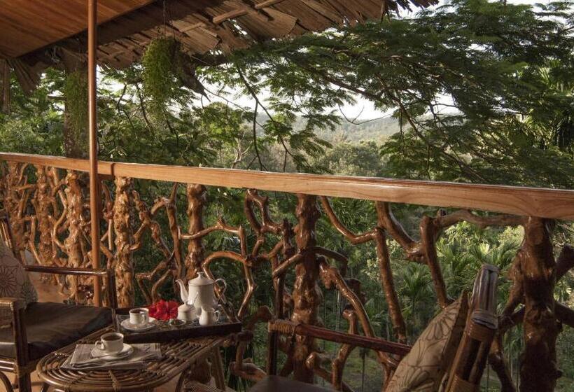 منزل غرفة نوم واحدة, Tranquil Resort   Blusalzz Collection, Wayanad   Kerala