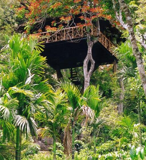 منزل غرفة نوم واحدة, Tranquil Resort   Blusalzz Collection, Wayanad   Kerala