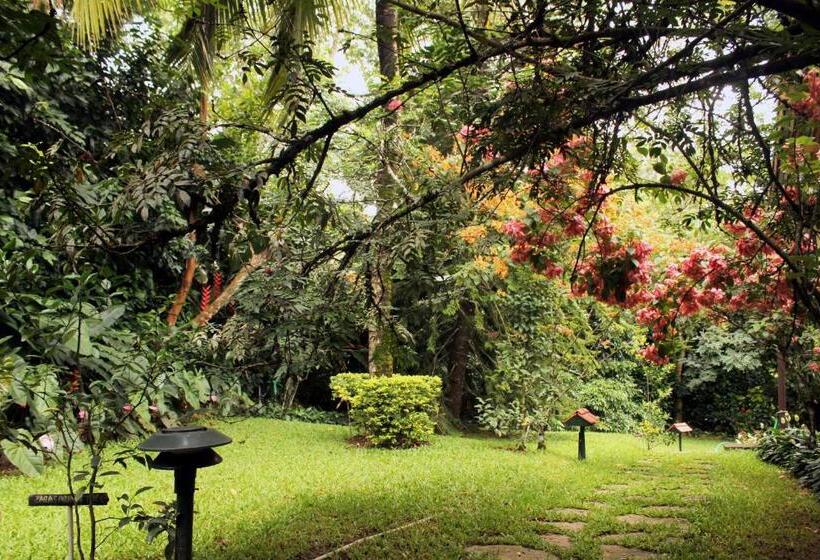 جناح ديلوكس, Tranquil Resort   Blusalzz Collection, Wayanad   Kerala