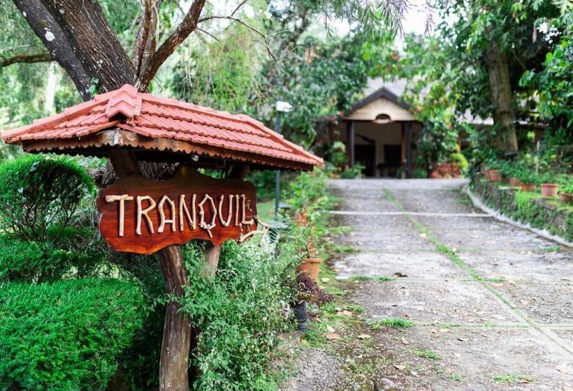 جناح ديلوكس, Tranquil Resort   Blusalzz Collection, Wayanad   Kerala