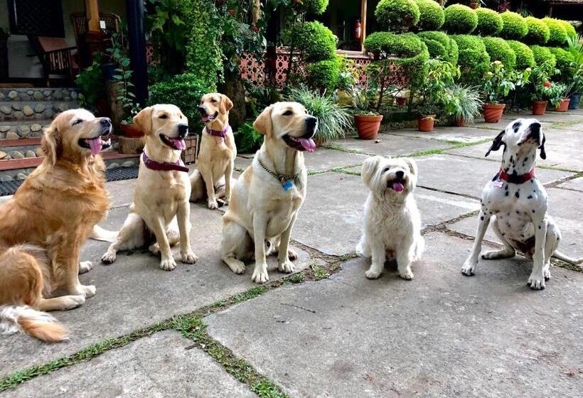 בית, חדר שינה 1, Tranquil Resort   Blusalzz Collection, Wayanad   Kerala