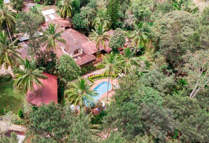 Президентский Люкс, Tranquil Resort   Blusalzz Collection, Wayanad   Kerala
