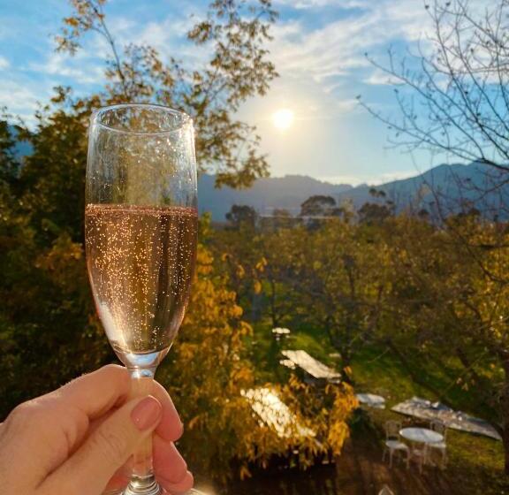 סוויטה, Jan Harmsgat Country House