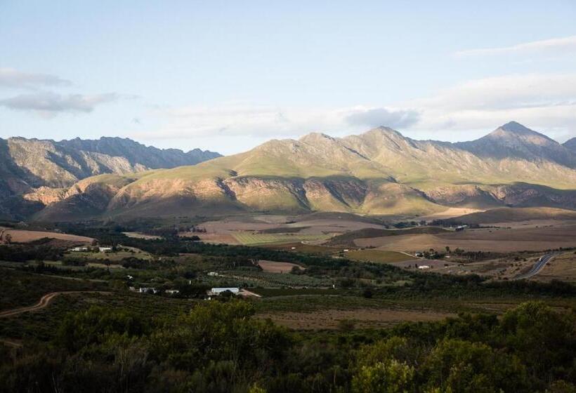 חדר סטנדרט עם מיטת קינג, Jan Harmsgat Country House