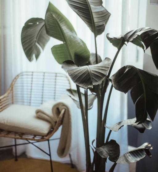 高级三人间, Ca Bela  Porta Romana