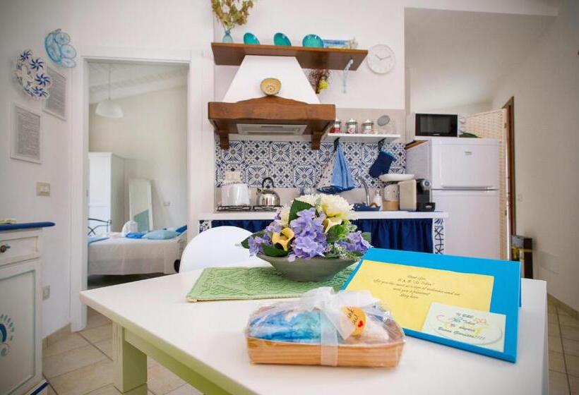 スタンダードインサイドビュールーム, Holiday Room Sa Tebia