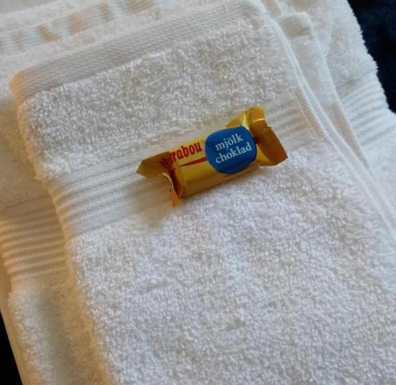 스탠다드 싱글 룸 공동욕실, Gotland Of Sweden Bed & Breakfast