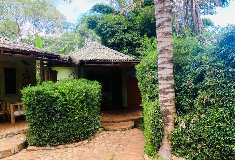 اتاق استاندارد با چشم‌انداز باغ, Afro Smiles