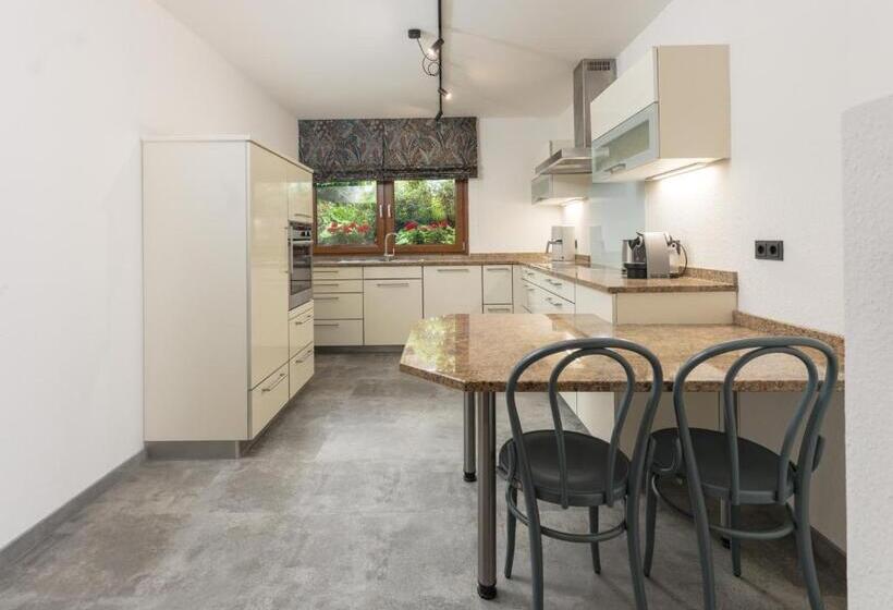 带1个卧室的豪华公寓, Appartements Erzherzog Johann