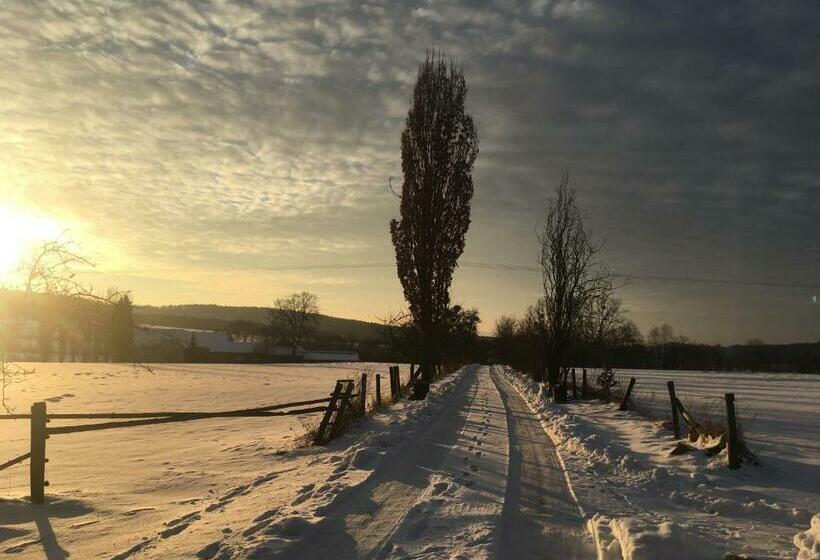 스탠다드 발코니 룸, Lindengut Biohotel & Bio Herberge