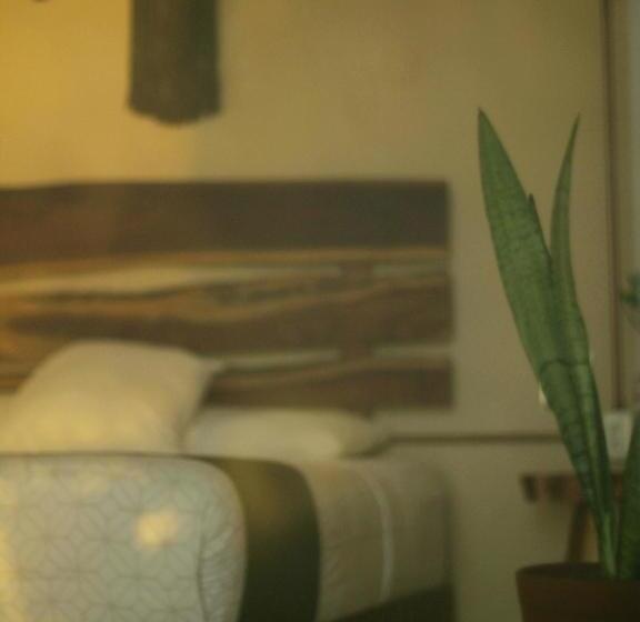 Habitación Deluxe, Tropic Bacalar