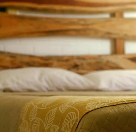 اتاق استاندارد, Tropic Bacalar