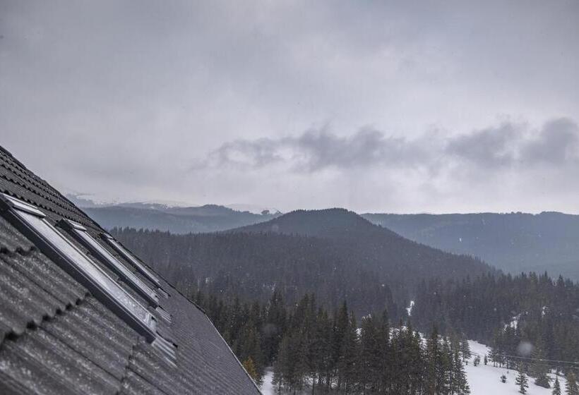 수피리어 스위트, Belmont